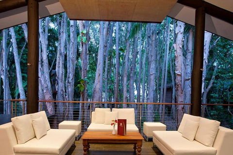 Airport Transfer - Cairns Airport To Palm Cove, Kewarra & Trinity Beaches - Lightning Ridge Tourism 2