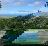 Daintree Luxury Limousine Tour - Full Day - Lightning Ridge Tourism
