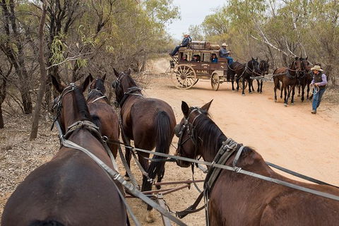 Cobb And Co Stagecoach Experience - Lightning Ridge Tourism 1