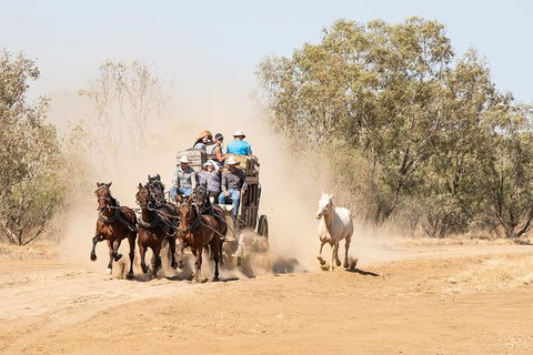 Cobb And Co Stagecoach Experience - Lightning Ridge Tourism 0