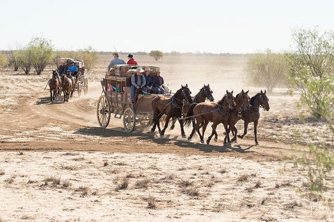 Cobb And Co Stagecoach Experience - Lightning Ridge Tourism 4