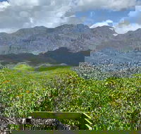Hinchinbrook Island Tour - Lightning Ridge Tourism