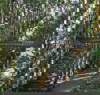 O'Reilly's and Binna Burra Full-Day Tour - Lamington National Park - Lightning Ridge Tourism