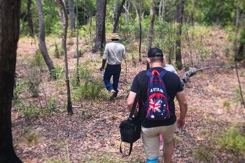Half Day Aboriginal Rock Art Experience In Queensland - Lightning Ridge Tourism 5