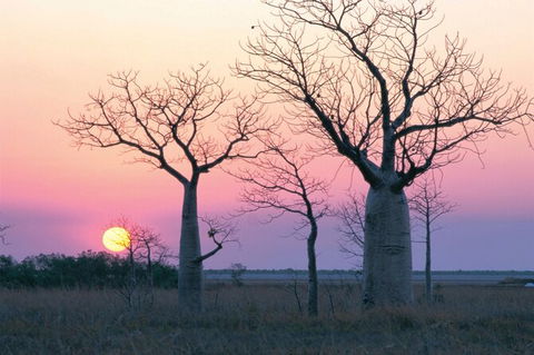 8-Day Outback Experience From Queensland - Lightning Ridge Tourism 0