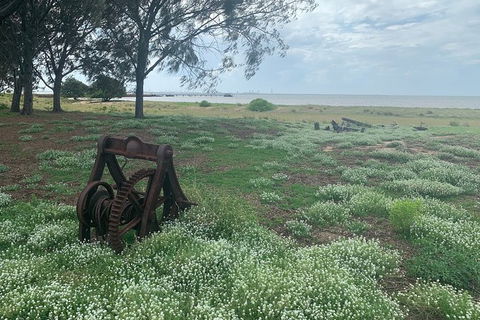 Half Day St. Helena Island Tour - Lightning Ridge Tourism 1