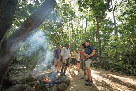 Mossman Gorge Adventure Day - Lightning Ridge Tourism 2