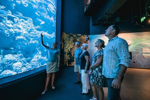 Cairns Aquarium By Twilight With 3 Course Dinner - Lightning Ridge Tourism 0