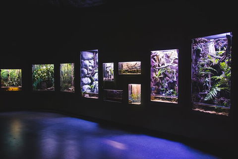 Cairns Aquarium By Twilight With 3 Course Dinner - Lightning Ridge Tourism 3