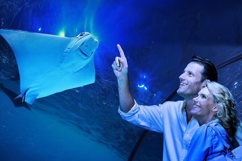 Cairns Aquarium Tour By Twilight With Drink And Appetiser - Lightning Ridge Tourism 0