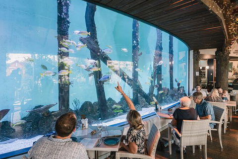Cairns Aquarium Tour By Twilight With Drink And Appetiser - Lightning Ridge Tourism 1