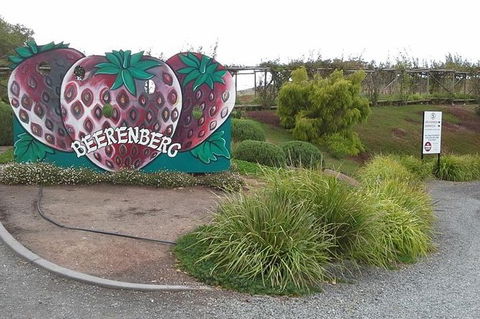 Adelaide Hills Regional / Hahndorf German Village Tour - Lightning Ridge Tourism 6