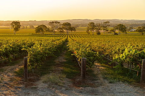 Yalumba Signature Tour - Lightning Ridge Tourism 5