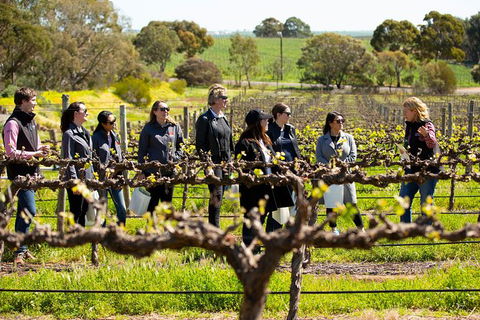 Walk, Taste, Graze - Experience At Pindarie - Lightning Ridge Tourism 2