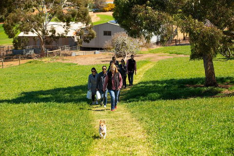 Walk, Taste, Graze - Experience At Pindarie - Lightning Ridge Tourism 7