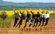 Walk, Taste, Graze - Experience At Pindarie - thumb 0