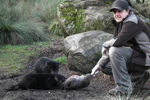 After Dark Tasmanian Devil Feeding Tour At Cradle Mountain - Lightning Ridge Tourism 0
