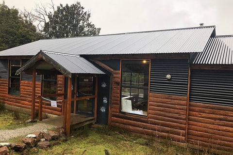 After Dark Tasmanian Devil Feeding Tour At Cradle Mountain - Lightning Ridge Tourism 6