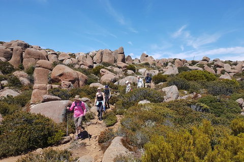 Alpine Loop - Lightning Ridge Tourism 2