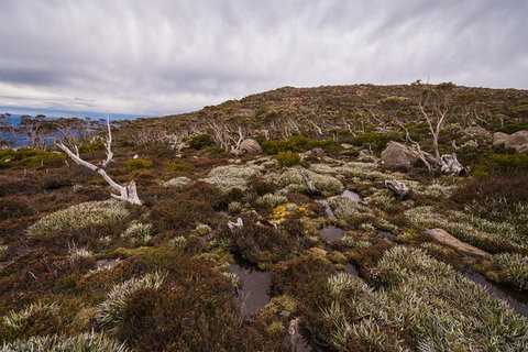 Alpine Loop - Lightning Ridge Tourism 0