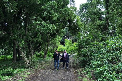 Alices Journeys Guided Walking Tours Of Daylesford - Lightning Ridge Tourism 5
