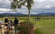 Yarra Valley Private Tour - thumb 5