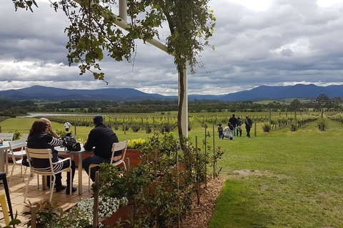 Yarra Valley Private Tour - Lightning Ridge Tourism 5