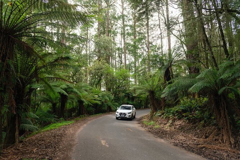 LGBT+ Friendly 3 Day Tour The Grampians, Daylesford & Ballarat - Lightning Ridge Tourism 1