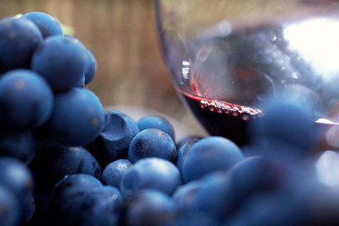 Mornington Peninsula 2-6 Guests Lunch Rare Hare Or Merricks General Wine Store - Lightning Ridge Tourism 7
