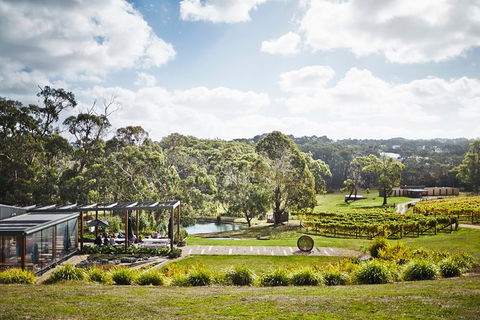 Mornington Peninsula 2-6 Guests Lunch Rare Hare Or Merricks General Wine Store - Lightning Ridge Tourism 3