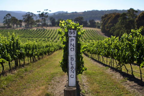 Mornington Peninsula 2-6 Guests Lunch Rare Hare Or Merricks General Wine Store - Lightning Ridge Tourism 5