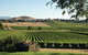 Yarra Valley Premium Tour Lunch And Sparkling And Oyster Match At Coombe Estate - thumb 1