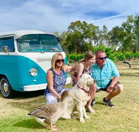 Half Day VW Kombi Food and Wine tour - Lightning Ridge Tourism