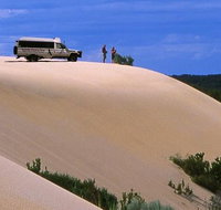 Half-Day Pemberton National Parks Beach and Forest Eco Adventure - Lightning Ridge Tourism