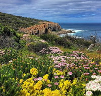 Guided Walks on the Cape to Cape - Moses Rock to Ellenbrook - Lightning Ridge Tourism