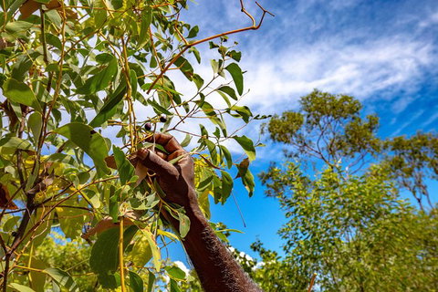 Mitchell Falls And Kimberley Coastal Camp (3night) - Lightning Ridge Tourism 2