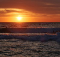 Australian animals Seascape and Sunset Photography Tour - Lightning Ridge Tourism