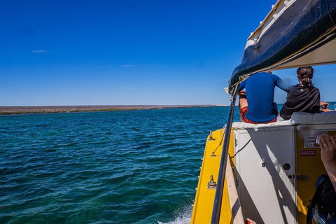 Ningaloo Immersion Private Charter - Lightning Ridge Tourism 0