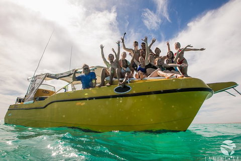 Ningaloo Immersion Private Charter - Lightning Ridge Tourism 9