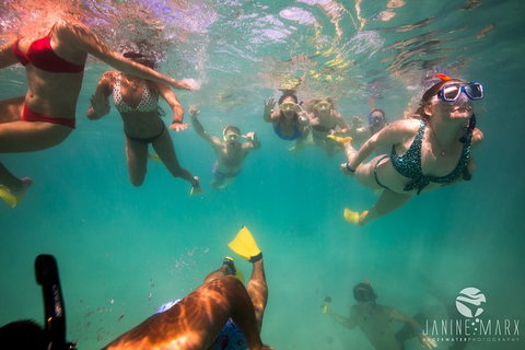 Ningaloo Immersion Private Charter - Lightning Ridge Tourism 8