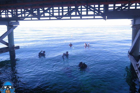 PADI Open Water Course - Lightning Ridge Tourism 3