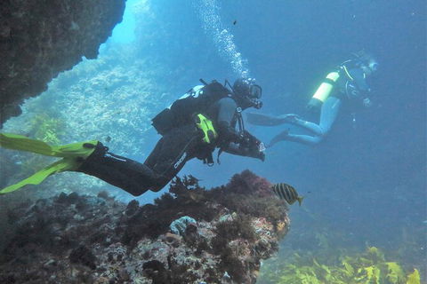 PADI Open Water Course - Lightning Ridge Tourism 2