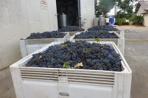 A Taste Of Margaret River Luxury Wine Tour - Lightning Ridge Tourism 3