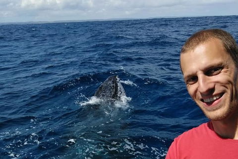 Whale Watching Boat Tour In Geraldton - Lightning Ridge Tourism 2