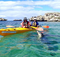 Penguin and Seal Islands Sea Kayaking Experience - Lightning Ridge Tourism