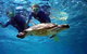 Full-Day Whale Sharks Swimming Experience On Ningaloo Reef - thumb 7