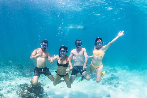 Full-Day Whale Sharks Swimming Experience On Ningaloo Reef - Lightning Ridge Tourism 5
