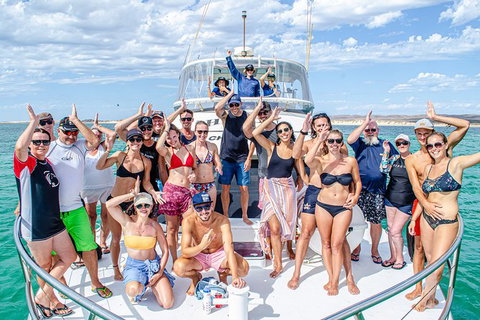 Full-Day Whale Sharks Swimming Experience On Ningaloo Reef - Lightning Ridge Tourism 1