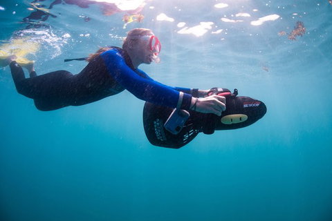 Full-Day Whale Sharks Swimming Experience On Ningaloo Reef - Lightning Ridge Tourism 4