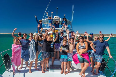 Full-Day Whale Sharks Swimming Experience On Ningaloo Reef - Lightning Ridge Tourism 15
